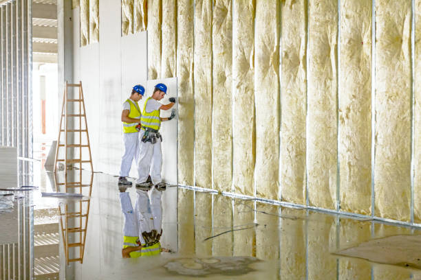 Best Professional Insulation Contractor  in Lagrange, OH